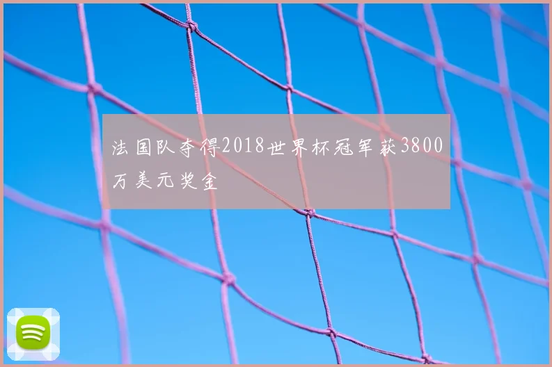 法国队夺得2018世界杯冠军获3800万美元奖金