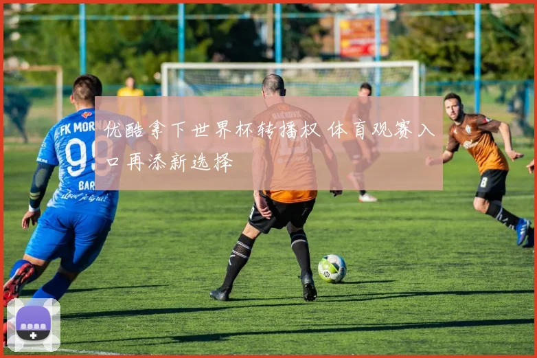 优酷拿下世界杯转播权 体育观赛入口再添新选择